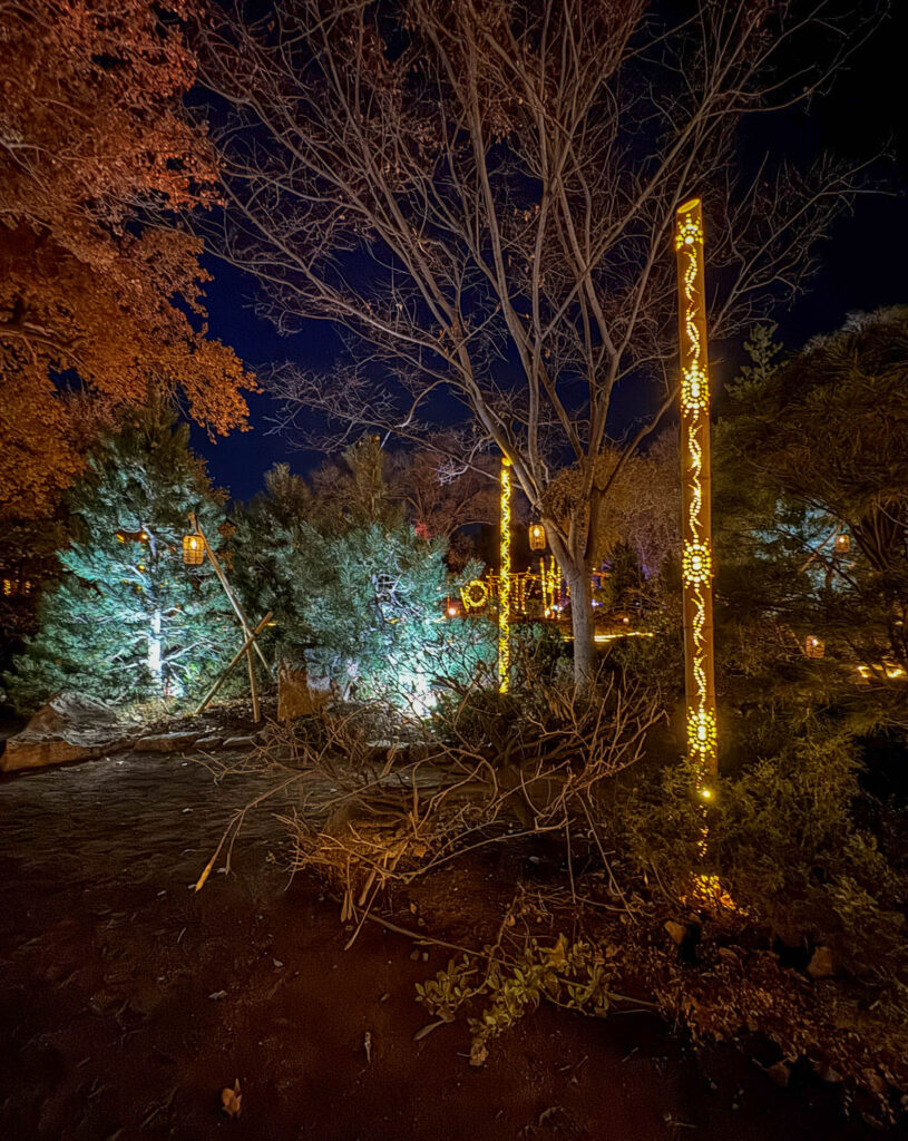 A new display in the Japanese Garden at the 2024 River of Lights: "Take Akari" display that involves drilling many holes in bamboo to represent elements such as air, water, and light.  