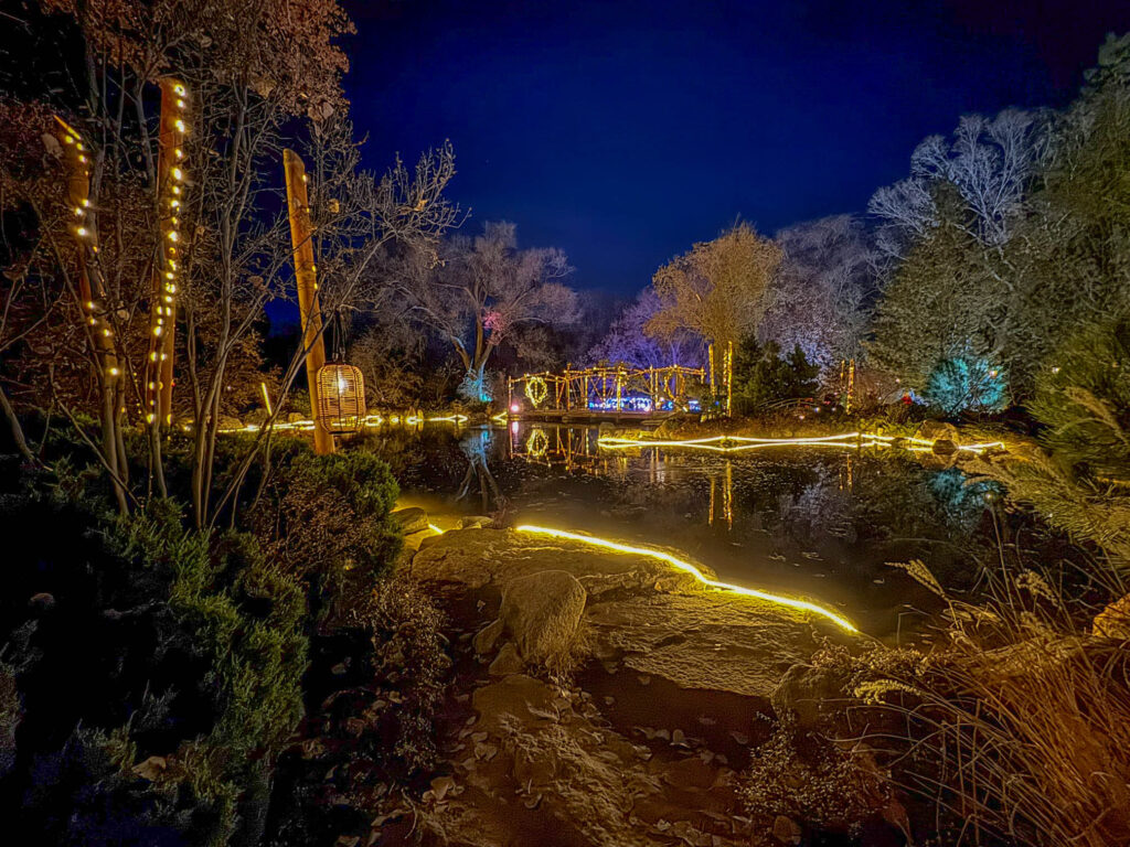 A beautiful view at the Japanese Garden at the 2024 River of Lights.