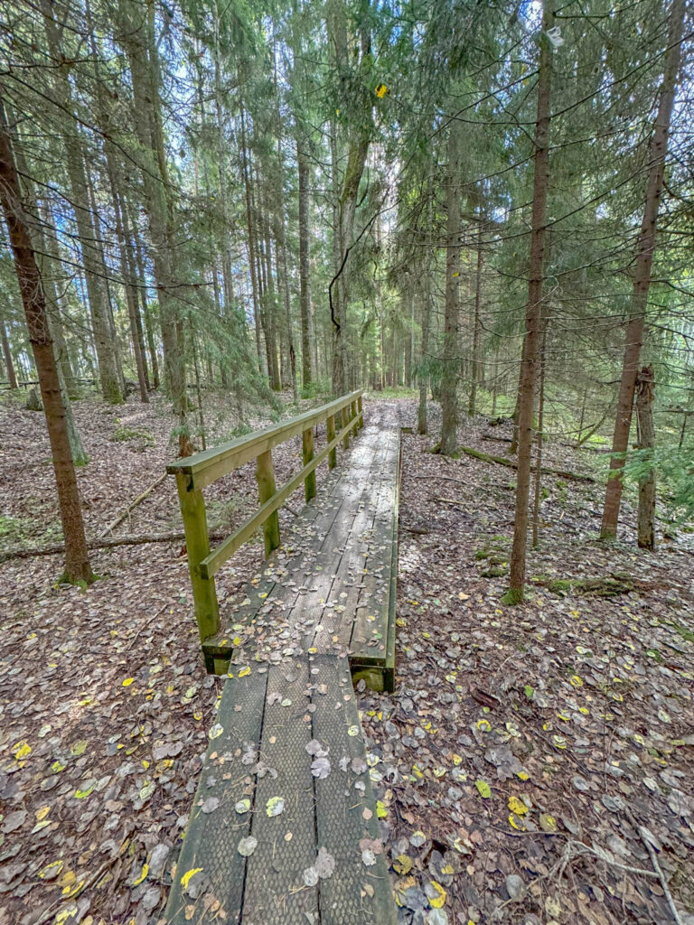 Other parts of the trails consist of wooden boardwalks. In fact, the vast majority of our hike was on boardwalks.