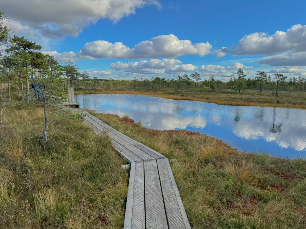 Approaching an opportunity for a bog swim ...