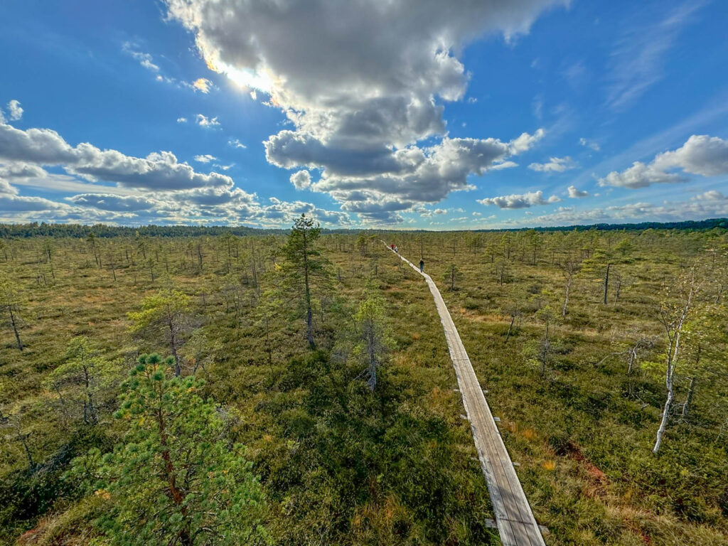 A nice view of the stark beauty of Soomaa National Park from an observation tower in the Park.