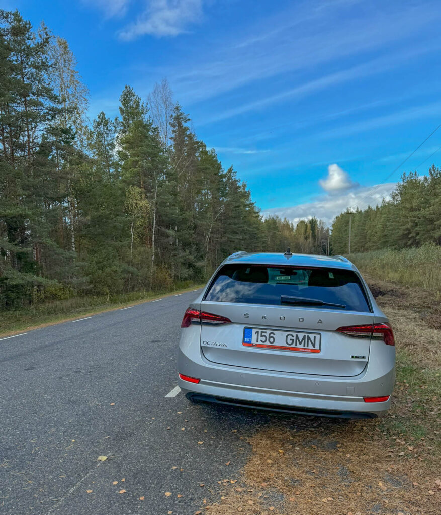 Our Skoda Octavia station wagon served us well during our trip.