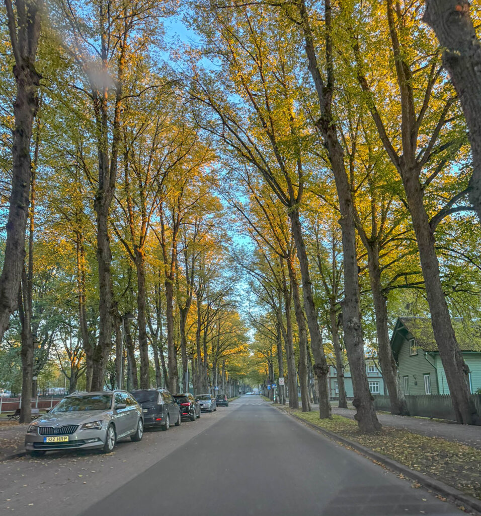 Outside of old town, there were signs of life of local Pärnu residents. Perhaps we'll find a bunch of people at the beach to catch the sunset ...