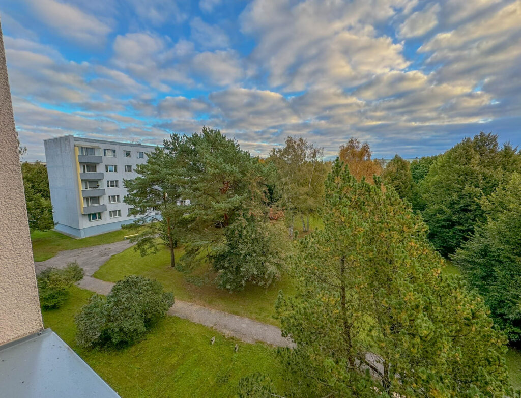 I woke up the next morning at our Soviet style apartment to enjoy the sound of some birds. In case you're wondering, I saw the following species: European Herring Gull, Eurasian Jackdaw, Rook, Eurasian Blue Tit, Great Tit, Redwing, House Sparrow, Eurasian Tree Sparrow, Common Chaffinch ...