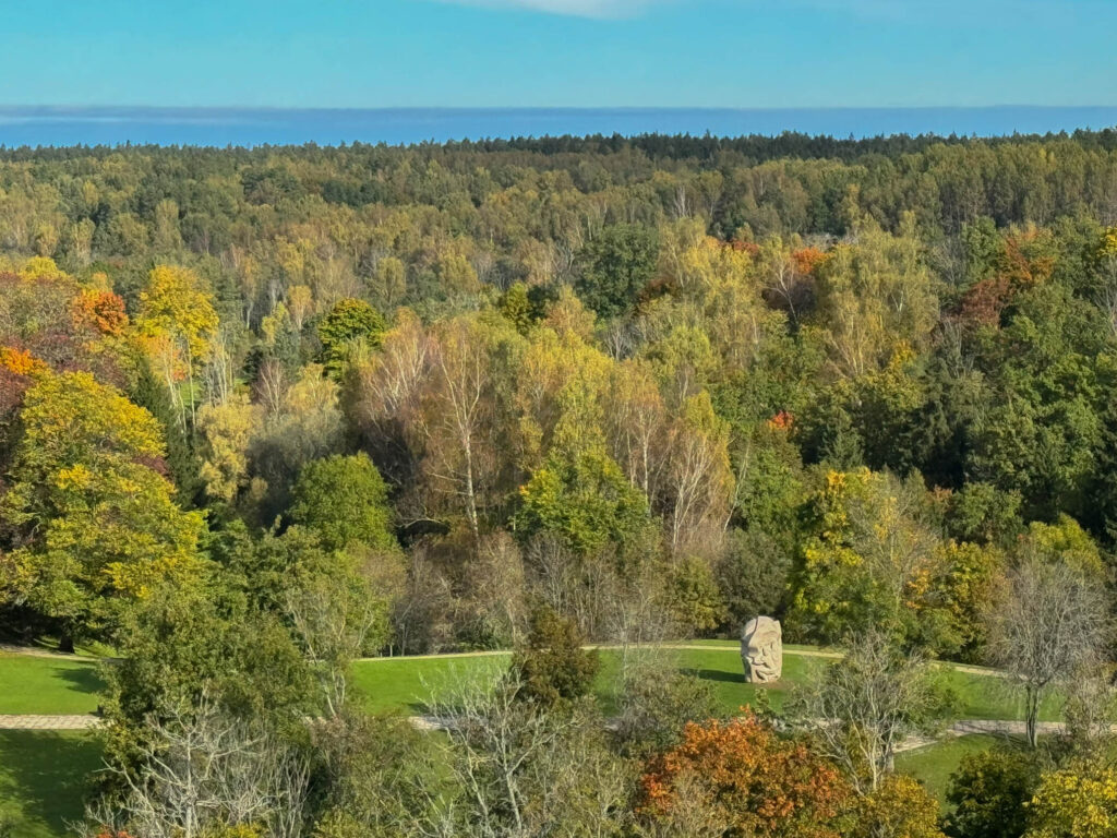 From a window perched high at the top of the tower, you get a nice view of the "Father of Song" statue. It sits proudly in the center of a neatly groomed landscape, framed by the forest of Gauja National Park.