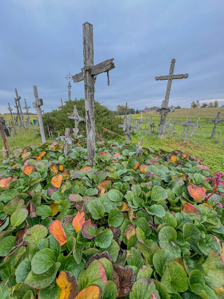 A scattering of crosses lines the edge of the Hill of Crosses, with a glimpse of a Franciscan monastery in the distance.  The idea to build a monastery and retreat center (built in 2000) came to life after Pope John Paul II’s visit in 1993, when he spoke about the site’s deep spiritual significance.  The monastery's monks aren’t just about quiet prayers and reflection.  They’re also the caretakers of the hill.  They work to keep its spirit alive, ensuring it remains a space where faith and contemplation can thrive.