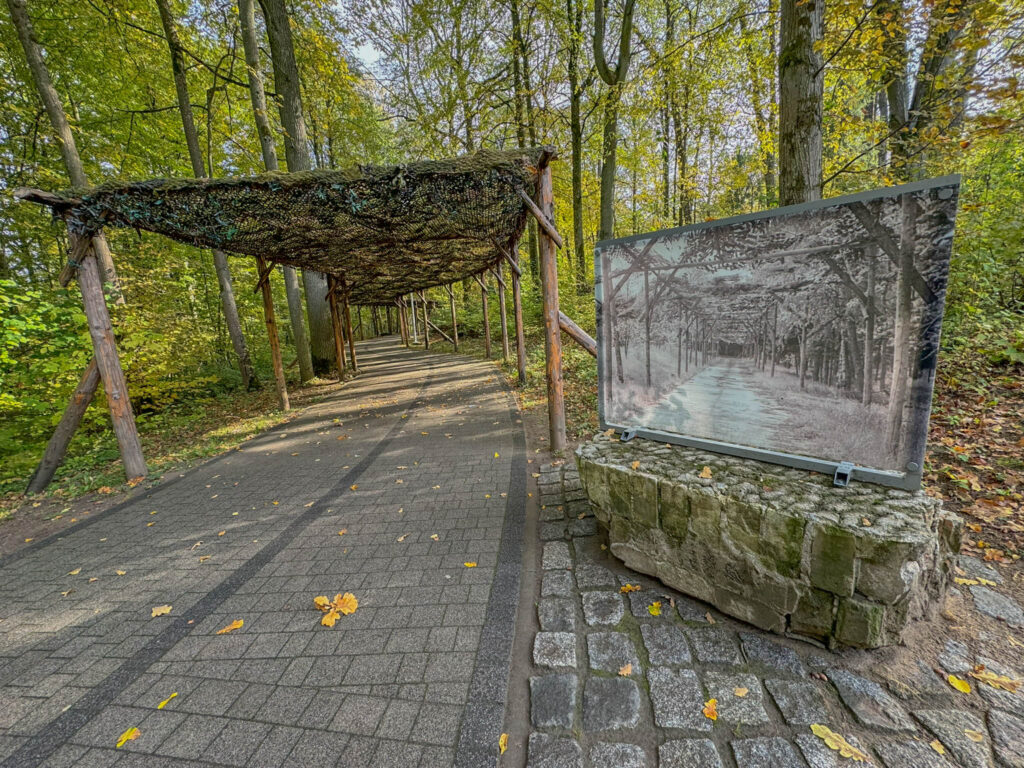 The walkway at Wolf’s Lair was built with stealth in mind. Covered by netting to avoid being spotted from above, it kept movements between key areas hidden from prying eyes from above. This path linked critical locations like Hitler’s bunker, the communications hub, and the briefing rooms, offering a safe route for officers and couriers to move about without risking exposure.