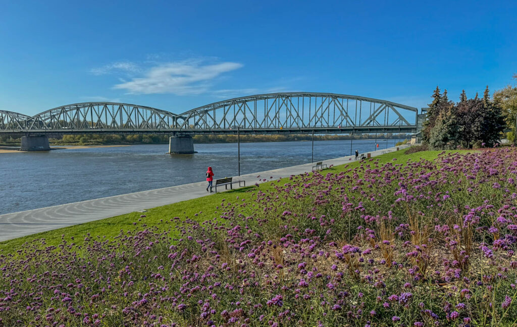 The Vistula River, also known as the Wisła, is Poland’s longest river, winding its way through Toruń and several other major cities. One standout feature in Toruń is the Józef Piłsudski Bridge. Originally constructed in 1934, this steel truss bridge was rebuilt after World War II and remains a vital link across the Vistula. It connects the historic Old Town to the rest of the city. The riverbanks nearby are a favorite hangout for both locals and visitors for walking, biking, or just soaking in the views of Toruń’s skyline.