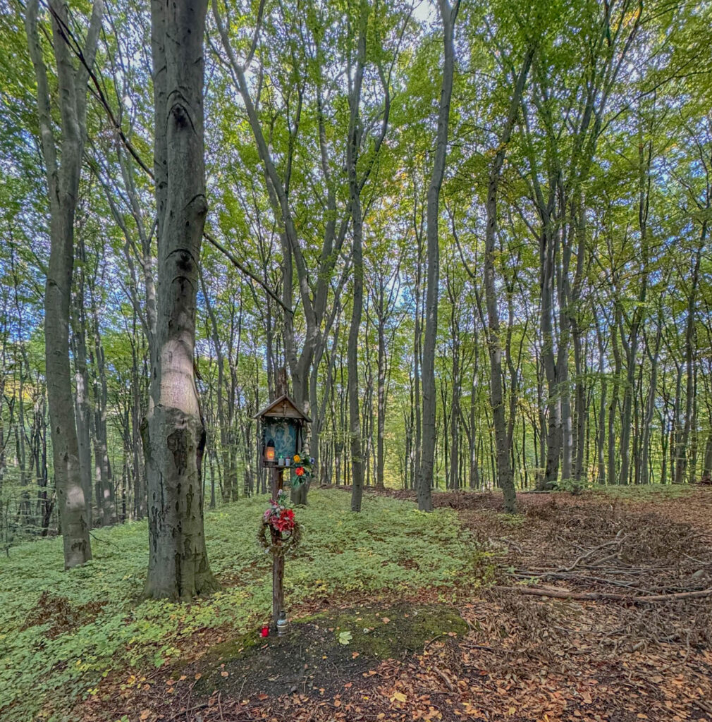 Walking the trails of Ojców National Park.