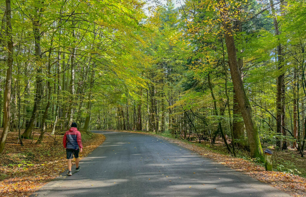 You can also walk along a paved road for several miles into Ojców National Park.