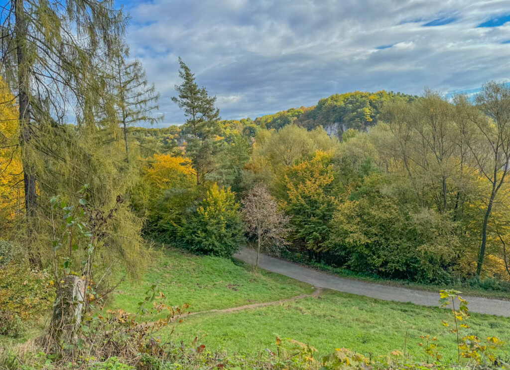 A glimpse of a limestone rock cliff amidst the fall colors of Ojców National Park.