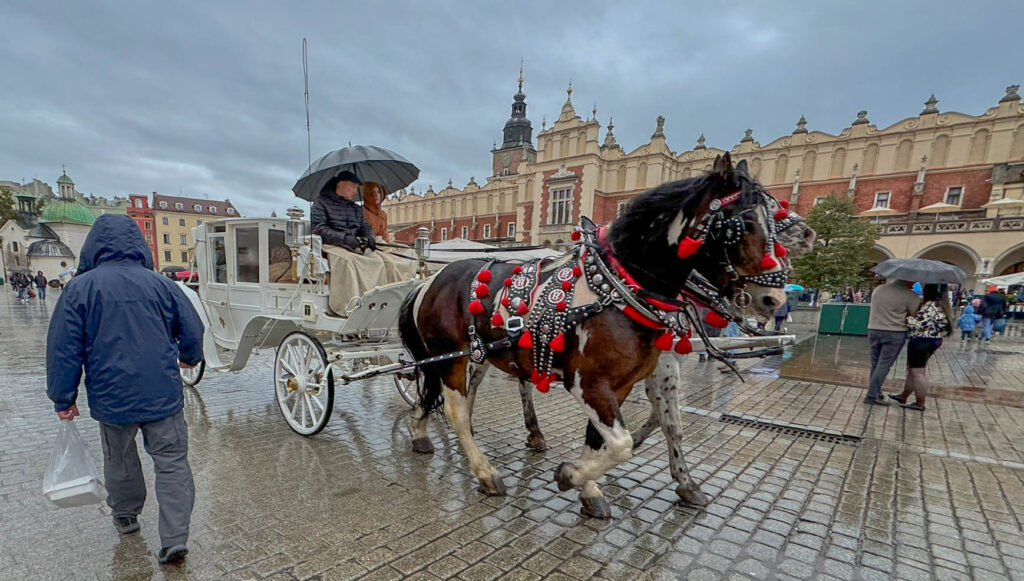 The horse-drawn carriages in Kraków’s Main Market Square (Rynek Główny) are a long-standing tradition dating back to the 19th century, originally used for transporting nobility and wealthy merchants. Today, they serve as a popular tourist attraction, offering scenic rides through the Old Town, past landmarks like St. Mary’s Basilica, Wawel Castle, and the Planty Park. The carriages, often ornately decorated with white paint, polished brass, and elegant harnesses, are operated by licensed coachmen, many of whom wear traditional attire to maintain the historic ambiance.