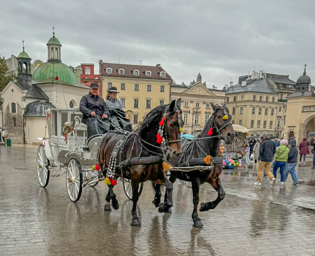 Another horse-drawn carriage passes us by as we walk in the rain to get back to our car for the end of our trip.