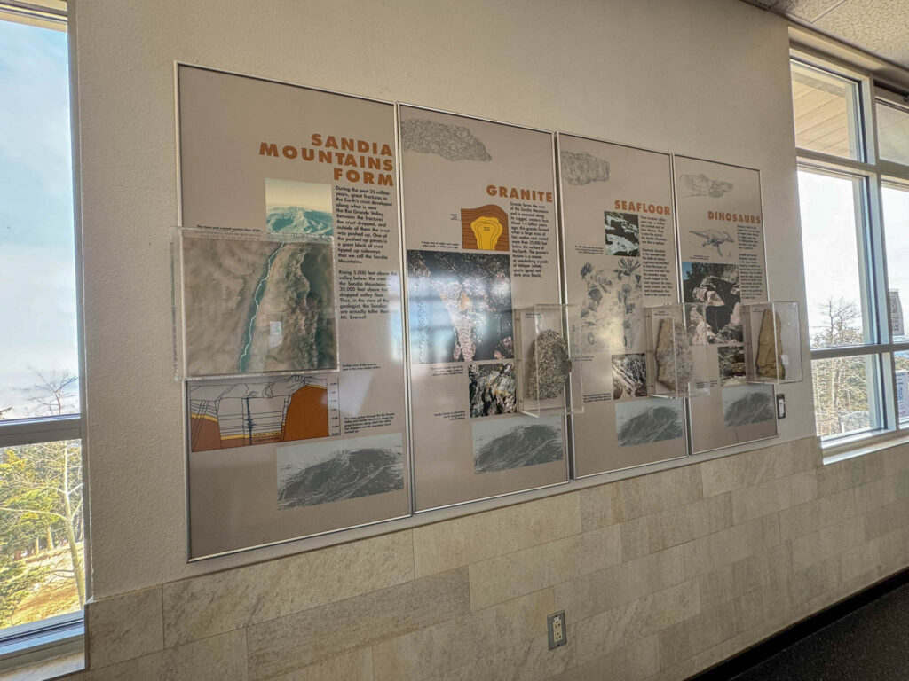 The waiting area has some interesting displays to keep you occupied while you wait. That’s where you can learn the fun fact that the top of Sandia Peak used to be underwater about 300 million years ago. This explains why fossils from ancient marine creatures have been found here. These include coral, crinoids (relatives of starfish and sea urchins that look like weird feather dusters), and brachiopods, which may look like clams but have different shells and internal structures.