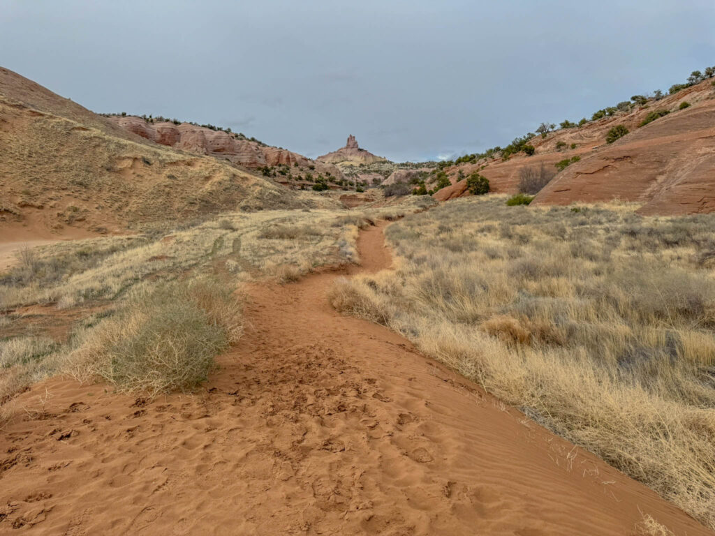 Another stretch of soft sand on the Church Rock Trail, leading you toward the rocky section ahead. It’s an easy stroll—for now. The slickrock is waiting just up ahead.
