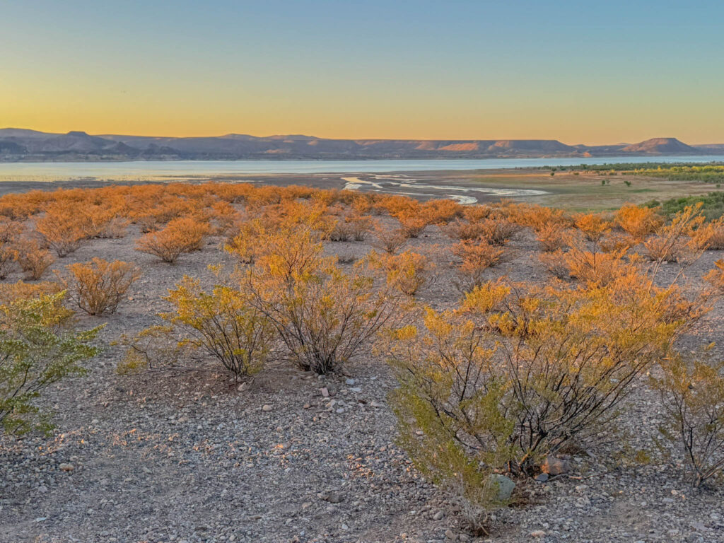 And the next morning, I was treated to a quiet, beautiful sunrise over the lake.