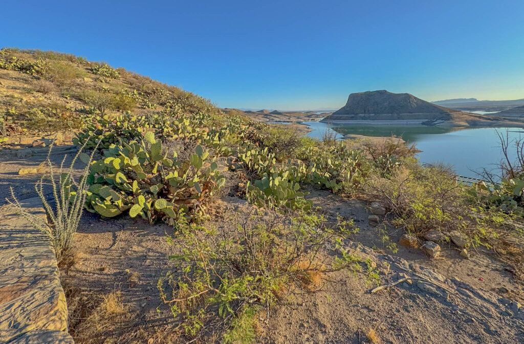 Another view of Dam Site Marina in the distanceāsurrounded by desert textures, canyon curves, and just enough cactus to remind you youāre in southern New Mexico.