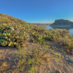 Another view of Dam Site Marina in the distance—surrounded by desert textures, canyon curves, and just enough cactus to remind you you’re in southern New Mexico.