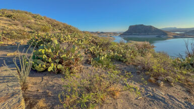 Another view of Dam Site Marina in the distance—surrounded by desert textures, canyon curves, and just enough cactus to remind you you’re in southern New Mexico.