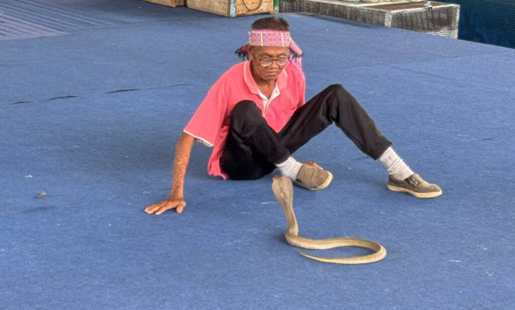 Not a job I’ll be applying for anytime soon.