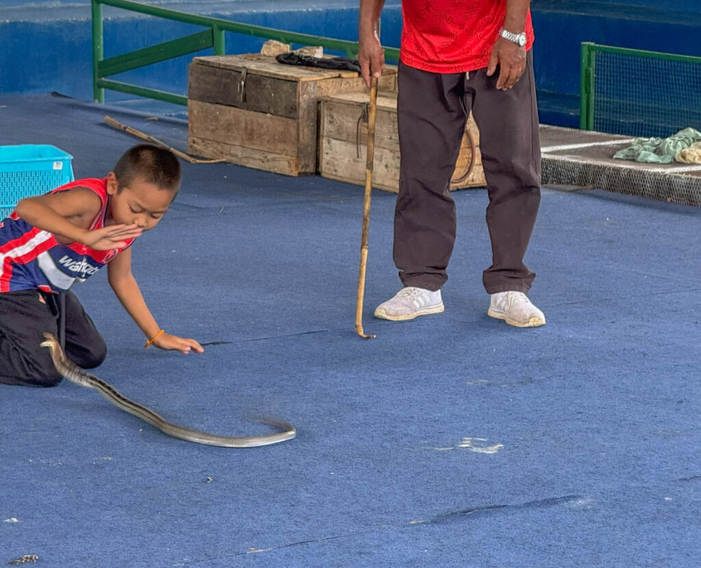 And another bite. This happened more than once.