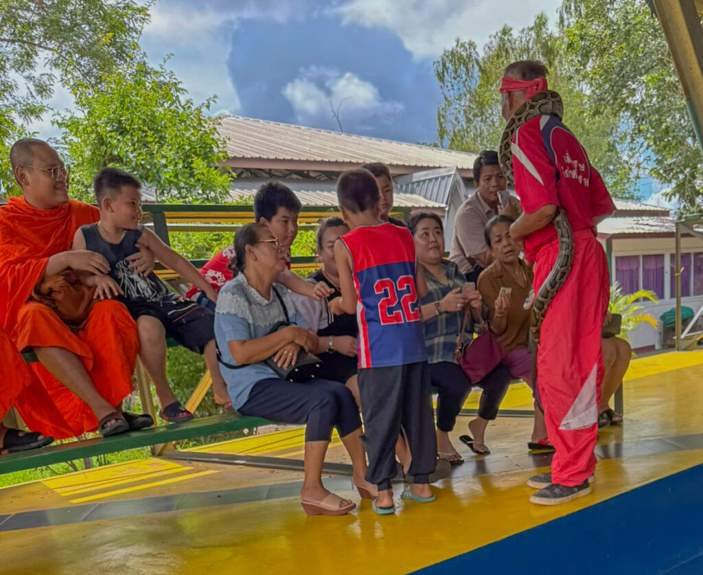 Photo opportunities and the tip jar at the end of the show.