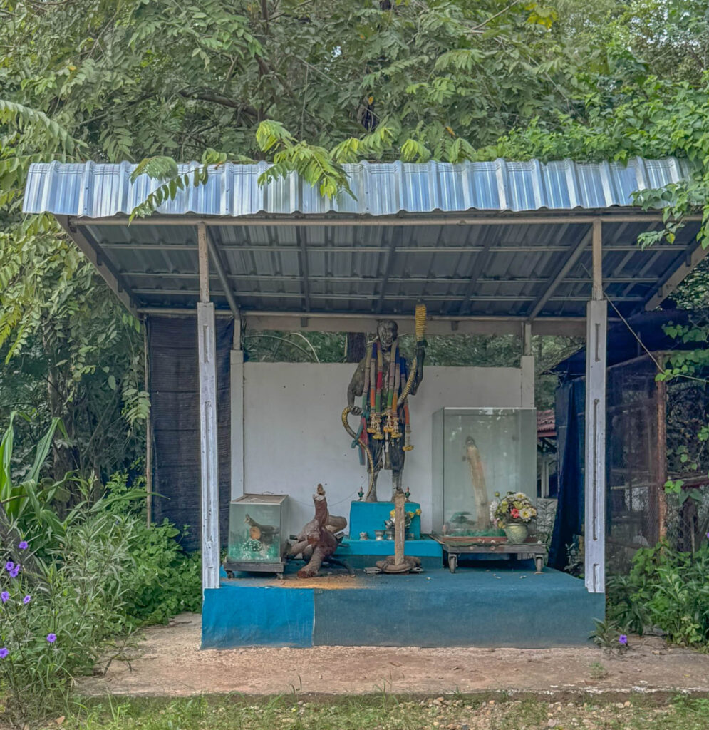 “A small shrine along the trail, a reminder that snakes here are part of something deeper than just a performance.