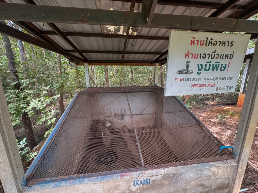 The snake enclosures were fairly basic.”