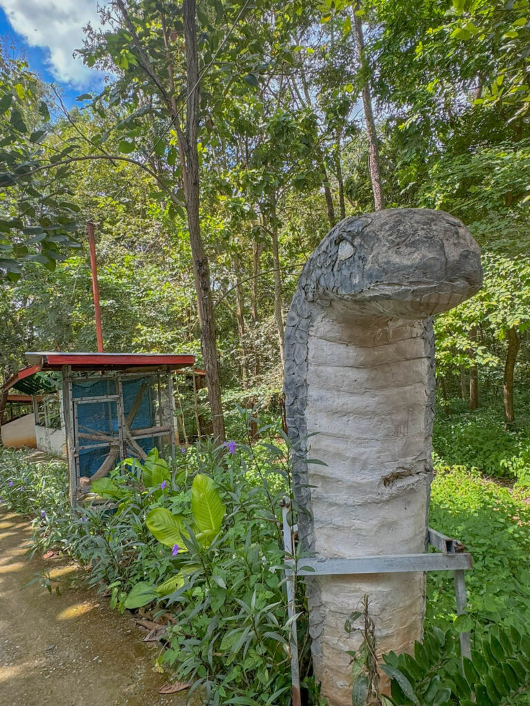 Walking the trails at King Cobra Village.
