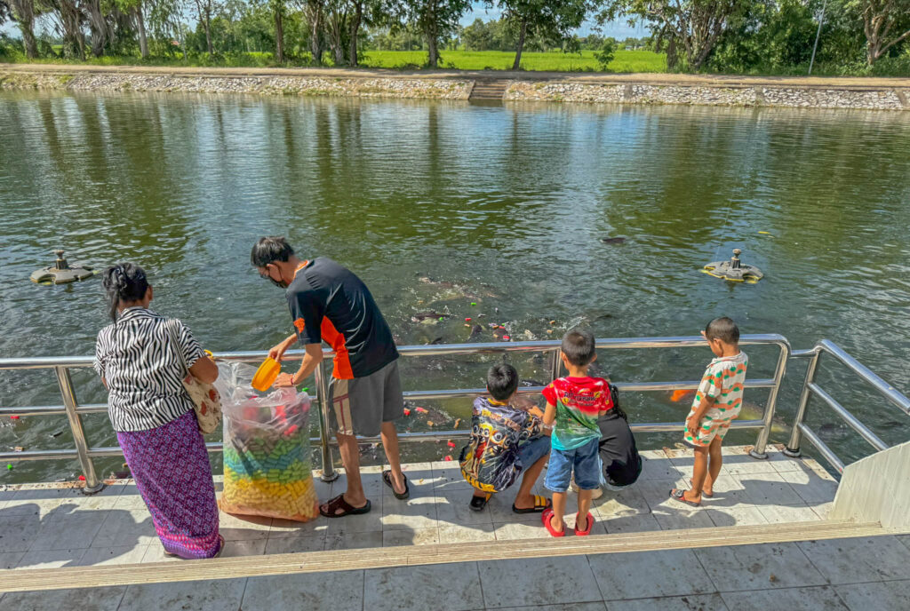 Locals feeding the fish along the edge of the temple grounds.