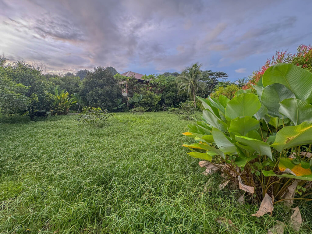 Monkey Mansion, our home for the next 24 hours just outside Khao Sok National Park.
