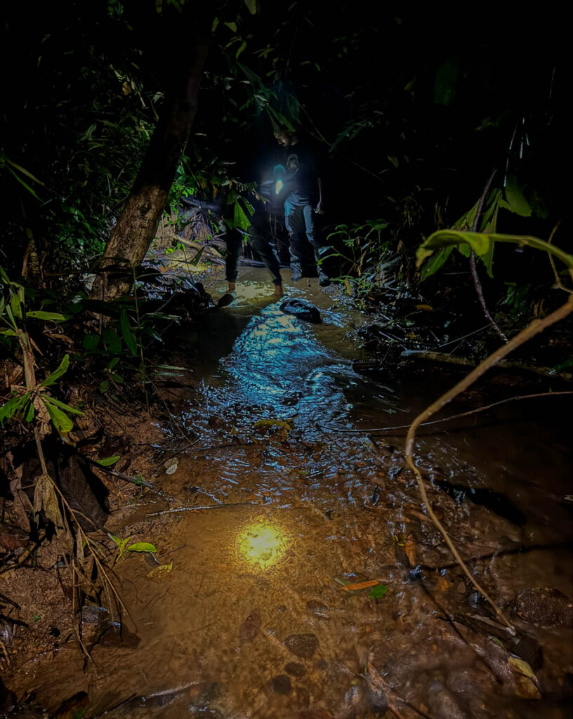 Rubber boots turned out to be one of the better packing decisions for this trip as we waded through shallow streams in search of snakes.