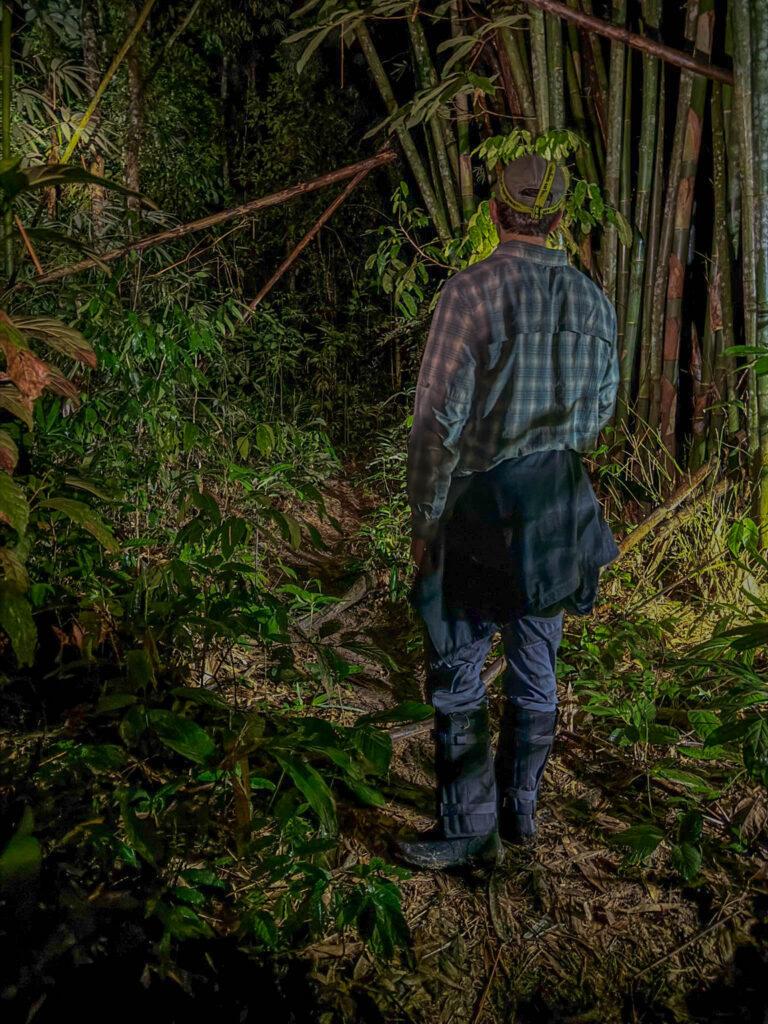 Not every section of the trail looked like this, but some were narrow enough that the surrounding vegetation became part of the hike. It paid to know what you were brushing up against before you brushed up against it.