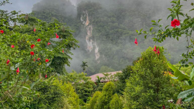 The path outside Monkey Mansion. Somewhere beyond those cliffs was another day that seemed like a good idea when we planned it.