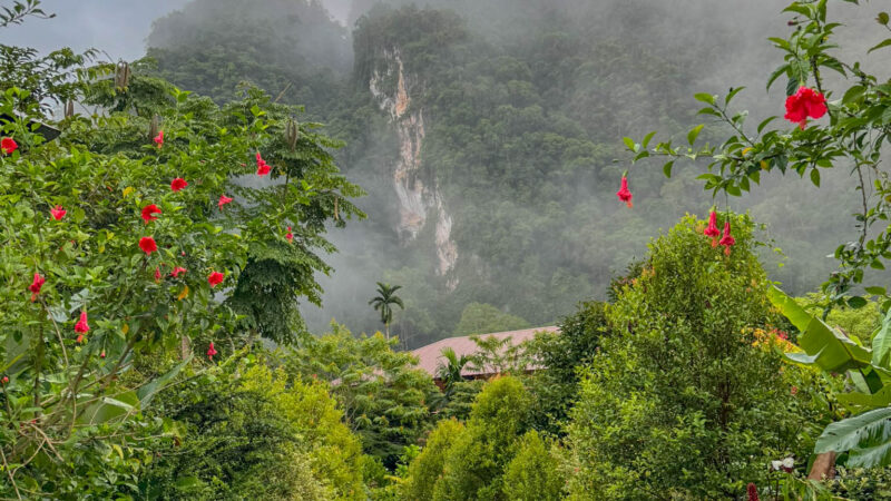 The path outside Monkey Mansion. Somewhere beyond those cliffs was another day that seemed like a good idea when we planned it.