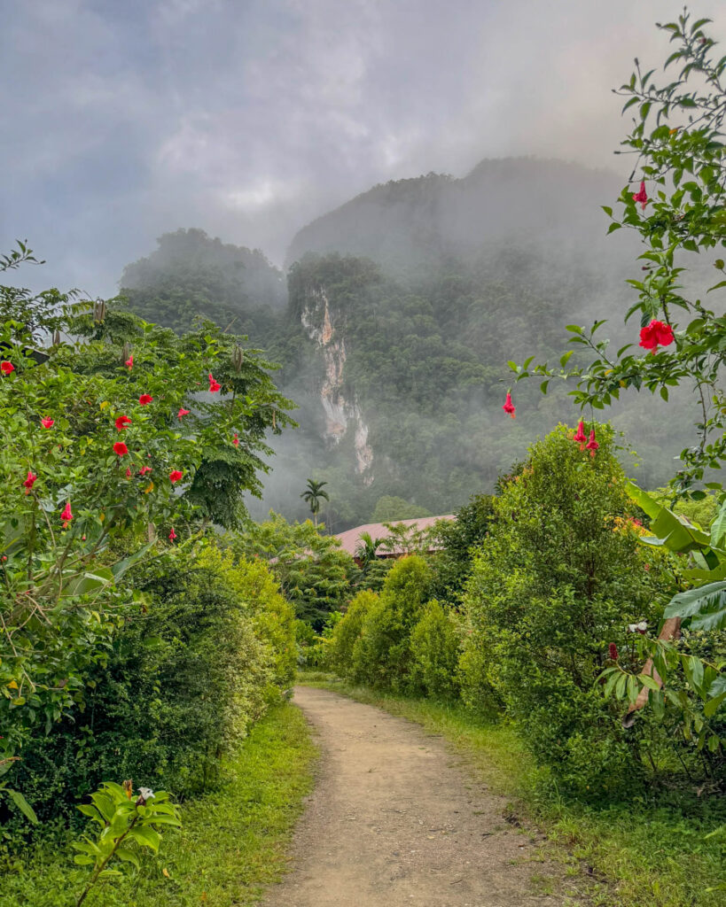The path outside Monkey Mansion in Khao Sok, Thailand. Somewhere beyond those cliffs was an itinerary that seemed perfectly reasonable at the time.