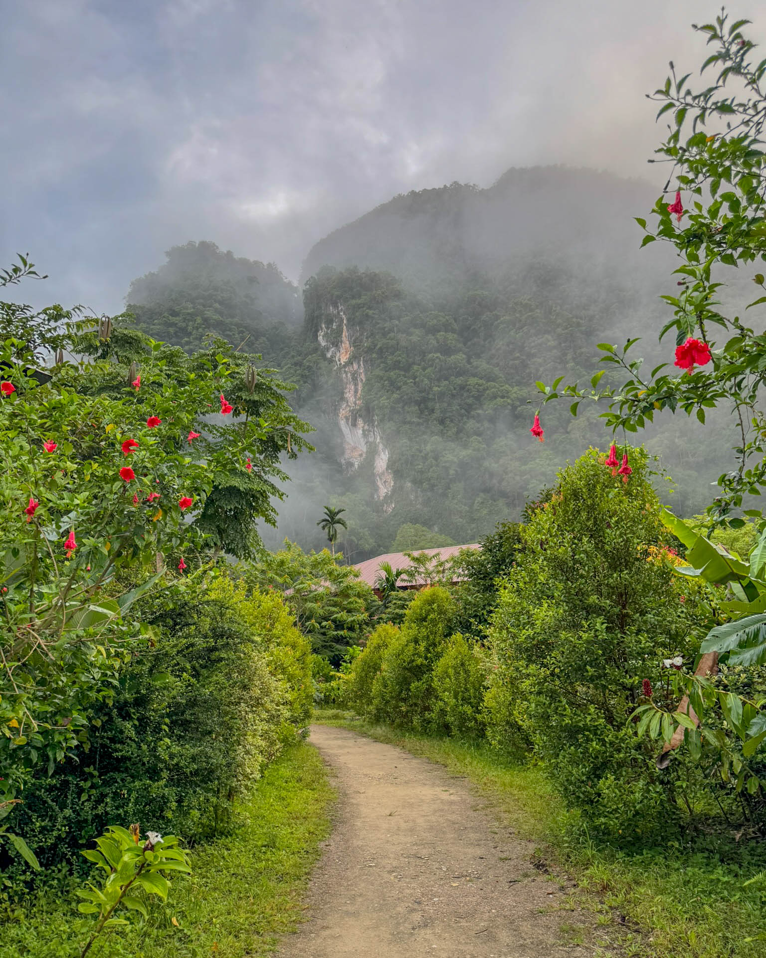 The path outside Monkey Mansion. Somewhere beyond those cliffs was another day that seemed like a good idea when we planned it.