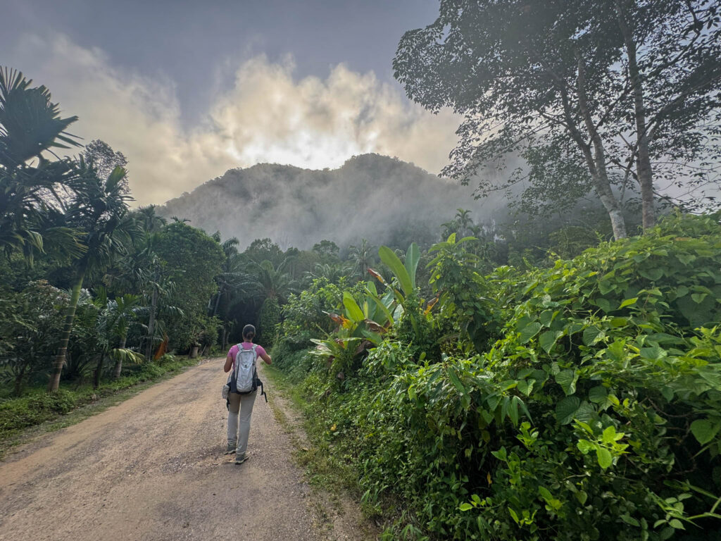 And we're off! Jungle Jane leads the way as we set out in search of Khao Sok's birds in the area around Monkey Mansion.