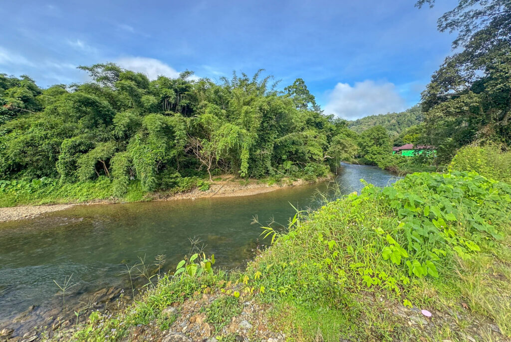 Our second birding stop was just outside Khao Sok town, before entering the national park.