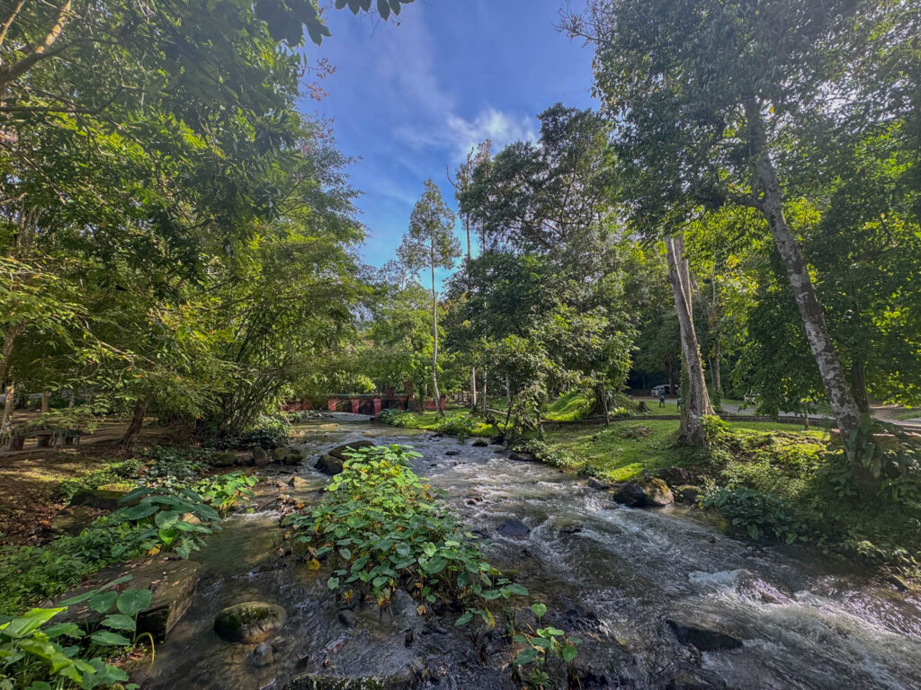 Inside the entrance of Khao Sok National Park. We hadn't even started looking for wildlife yet, and I was already stopping for photos.