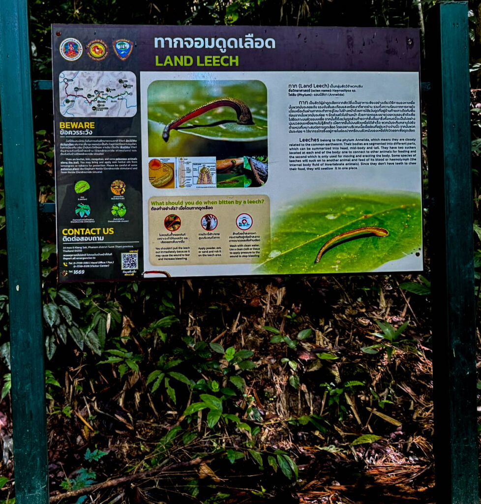 This sign made it clear that snakes weren't the only thing we should be watching for in Khao Sok.