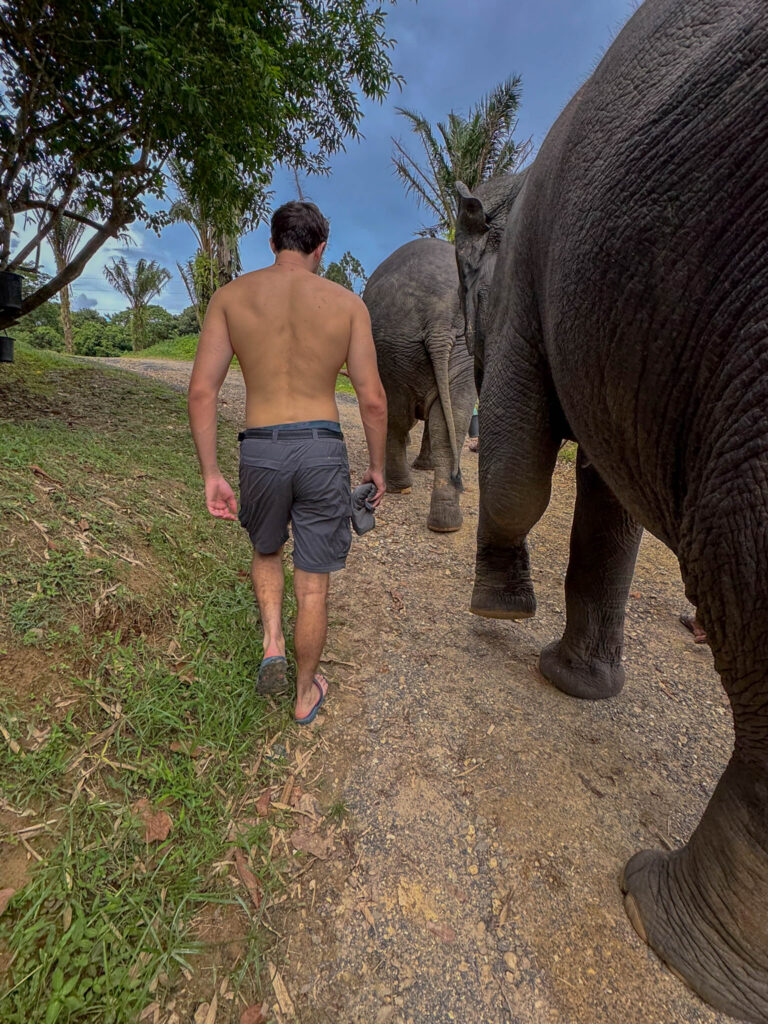 The walk back marked the end of our afternoon with Wan-Dee.