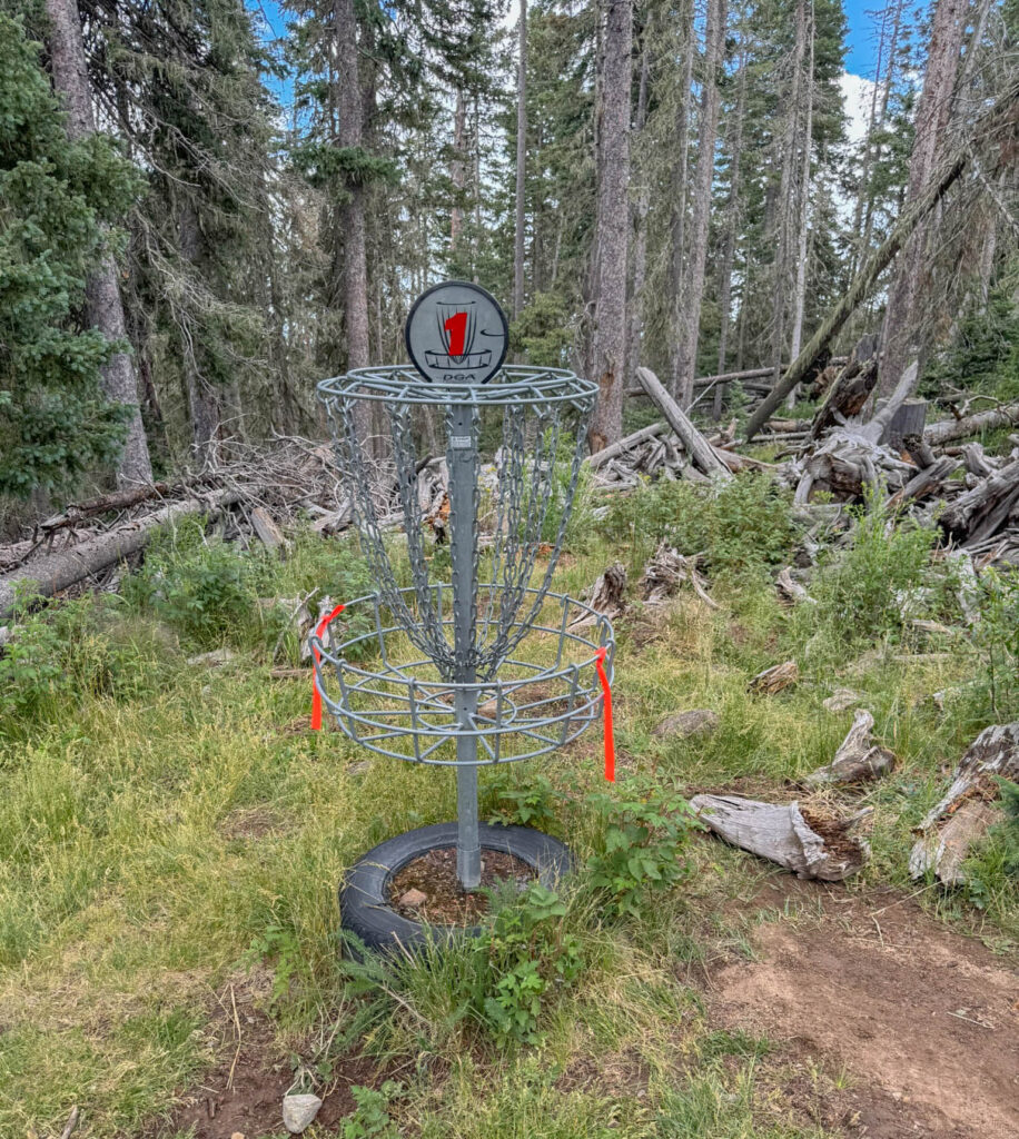 The basket for Hole 1, set among the trees near the summit.