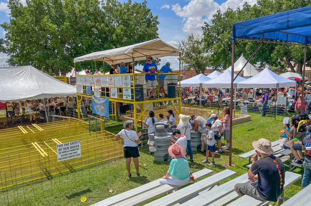 The wet and dry tracks at McKinley Duck Downs, where ducks compete in 16-foot races during the Great American Duck Race.