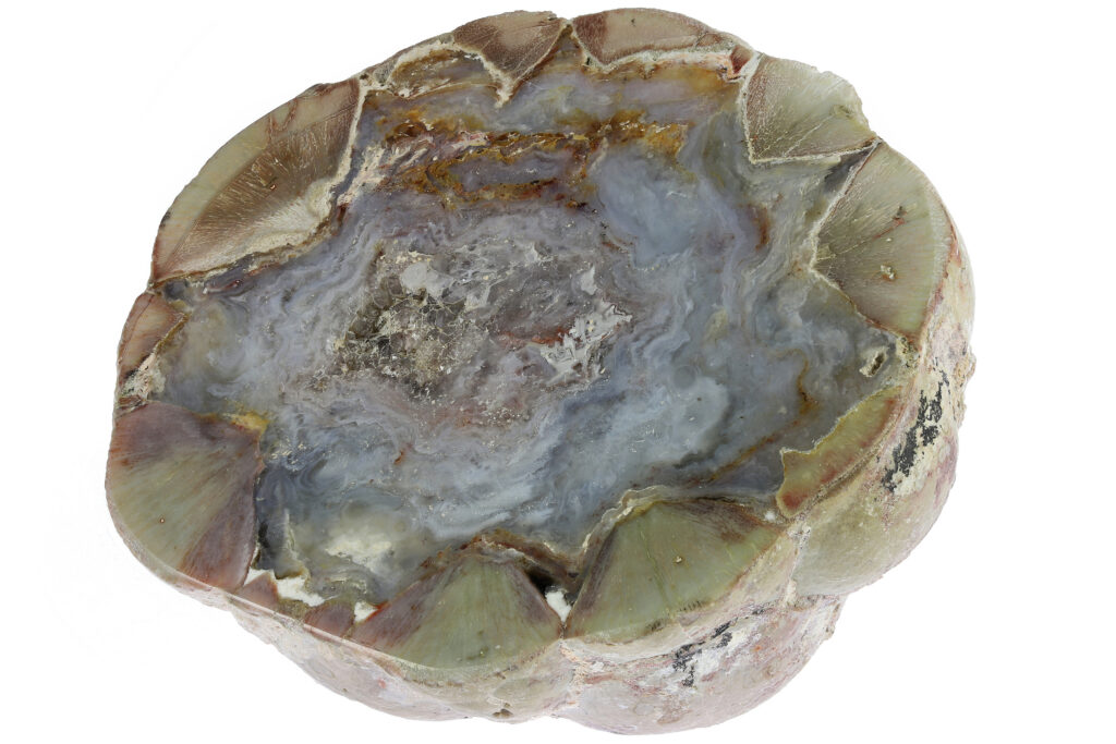 A thunderegg from Buchanan, Oregon, cut in half to reveal the mineral-filled interior. Photo: Björn Wylezich / Adobe Stock.